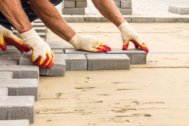 Best Professional Driveway Pavers  in Brownsville, TX