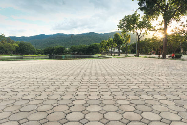Best Brick Driveway Pavers  in Brownsville, TX